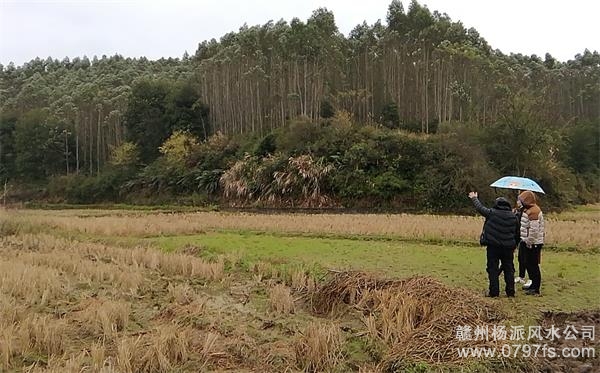 嘉义市陈老师带着爱徒寻龙点穴